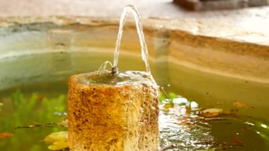 Gün batımında gölette kuru yapraklarla yavaş hareket eden bir çeşme.