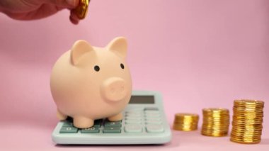 Erkek el, altın sikkeyi mavi bir hesap makinesine koyuyor. Üzerinde pembe izole edilmiş arka planda birikmiş paralar var. Tasarruf konsepti.