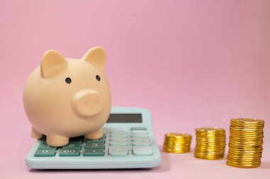 Üzerinde pembe izole edilmiş arka plan, hesaplar ve finans kavramları üzerine yığılmış altın sikkeler olan mavi bir hesap makinesinin üzerindeki kumbara.