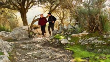 Güneşli bir günde ağaçların arasında yürürken doğa keşfi yapan yürüyüşçüler.