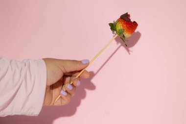 Female hand holding a bitten strawberry skewer with melted chocolate on a pink background, Valentine's Day food concept clipart