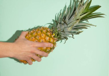 Açık yeşil arka planda ananas tutan erkek el, hoş kokulu ve tatlı tropikal meyve
