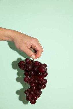 Açık yeşil arka planda parmakları olan bir grup taze üzümü tutan bir erkeğin dikey görüntüsü. Mor renkli yuvarlak sulu meyve