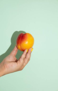 Açık yeşil arka planda şeftali tutan bir kadının dikey görüntüsü. Kadife tenli portakal meyvesi ve sulu, tatlı ve aromatik posa.