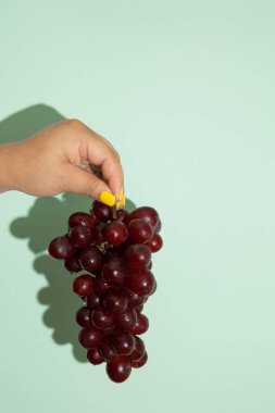 Açık yeşil arka planda bir avuç taze üzümü parmaklarıyla tutan bir kadının dikey görüntüsü. Yuvarlak, sulu, mor meyve.