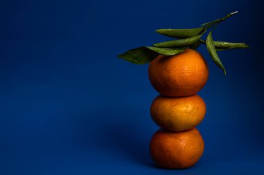 Koyu mavi arka planda taze mandalinalar. Koyu yiyecek