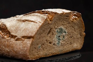Koyu arkaplandaki küflü ekşi ekmeğin yan görüntüsü. Çürüyen tam tahıl yiyeceği