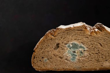 Koyu arkaplanda küflü bir kepekli buğday ekmeğinin ön görüntüsü. Çürüyen tam tahıl yiyeceği