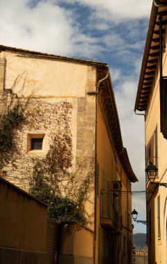 Güneşli bir günde arka planda mavi gökyüzü olan bir grup eski Mallorcan evinin dikey görüntüsü