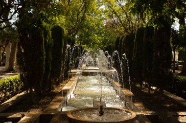 Palma de Mallorca, İspanya - 4 Mart 2025 - Palma 'daki S' Hort del Rei Garden