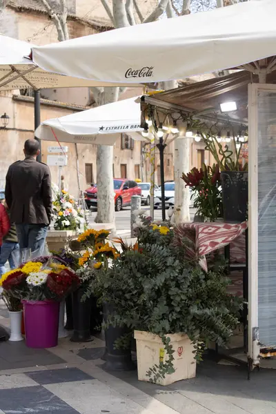 Palma de Mallorca, İspanya - 4 Mart 2025 Palma 'nın merkezinde çiçekçi