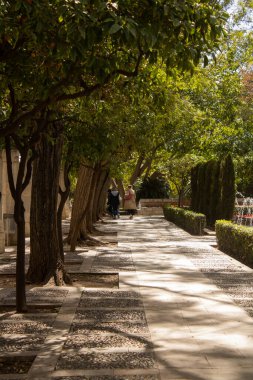 Palma de Mallorca, İspanya - 4 Mart 2025 Palma Kralının S 'Hort Bahçesi