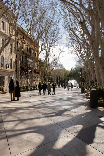 Palma de Mallorca, İspanya - 4 Mart 2025 Palma 'nın merkezindeki Borne Yolu