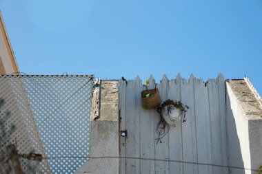 Sallanan bitkileri ve arka planında açık mavi gökyüzü olan kırsal bir kapı. Açık hava fotoğrafçılığı.