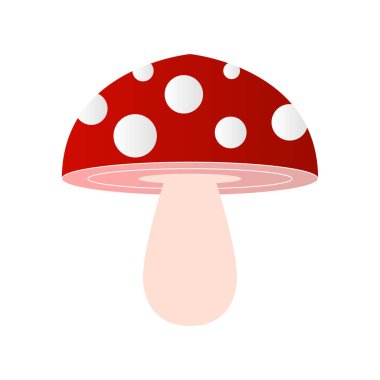 Kırmızı zehirli mantar, vektör çizimi