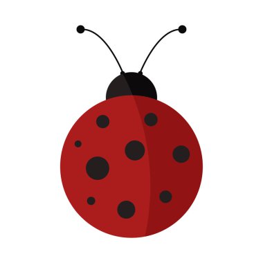 izole uğurböceği simgesi 