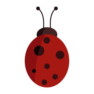 yalıtılmış uğurböceği simgesi. böcek vektör illüstrasyonu