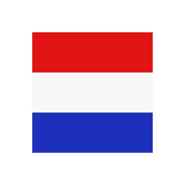 bayrak ikonu vektör illüstrasyonu