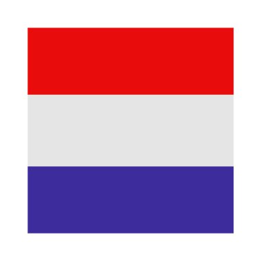 bayrak ikonu vektör illüstrasyonu