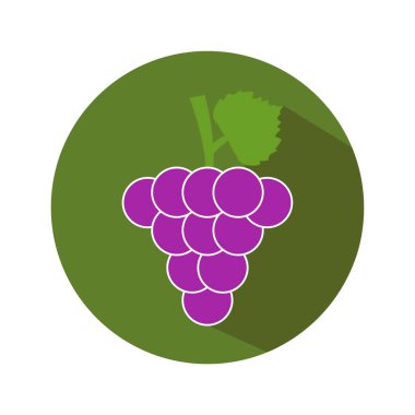 Taze üzümler meyve vektörü çizimi