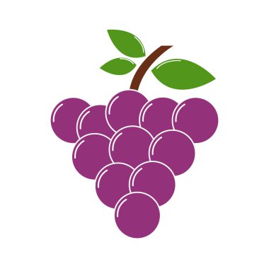 Taze üzümler meyve vektörü çizimi