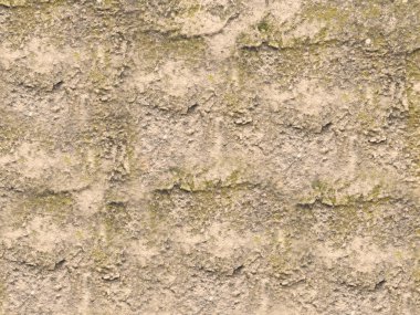 Bahçede taş dokusu, yakın görüş.