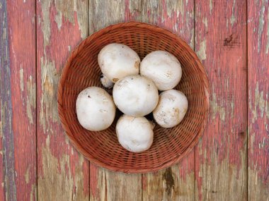 Ahşap arka planda kasede mantarlar