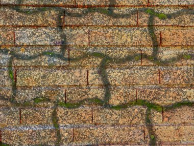 eski grunge duvar arkaplanı, doku