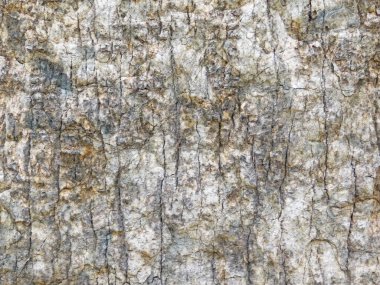 Arkaplan için taş dokusunun yakın plan görüntüsü