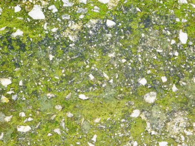 Arkaplan için taş dokusunun yakın plan görüntüsü