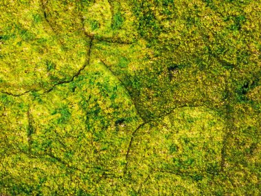 Green Stones dokusu, soyut arkaplan