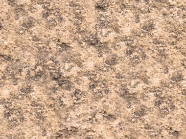 Arka plan için Bahçedeki Taş Doku 'nun yakın plan çekimi.