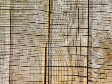 Arka plan için bahçedeki ahşap dokular