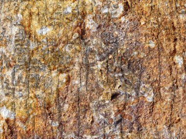 Bahçede taş dokusu, yakın görüş.