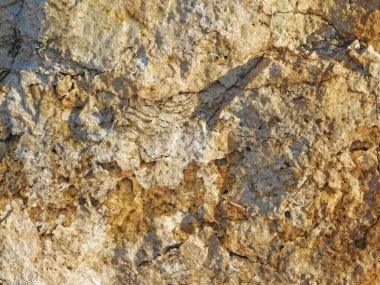 Arkaplan için taş dokusunun yakın plan görüntüsü