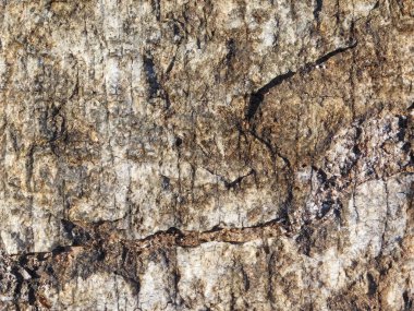 Arka plan için Bahçedeki Taş Doku 