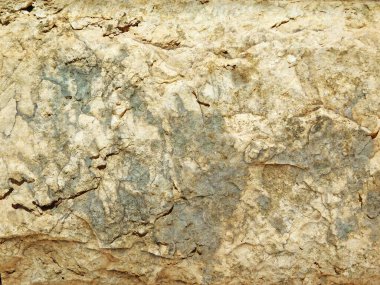 Bahçedeki mermer dokular 