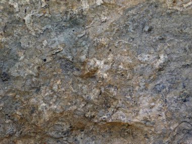 Bahçedeki mermer dokuyu kapat.