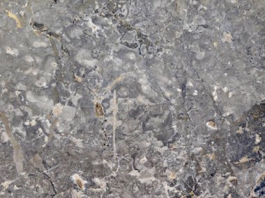 Bahçedeki mermer dokular