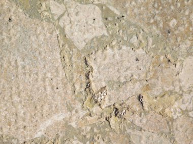 Arka plan için Bahçedeki Taş Doku    