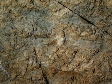 Bahçedeki mermer dokular