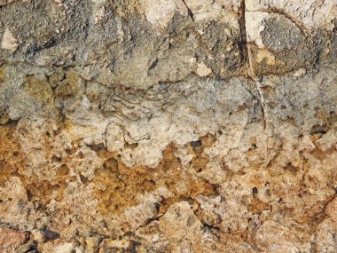 Arka plan için Bahçedeki Taş Doku 