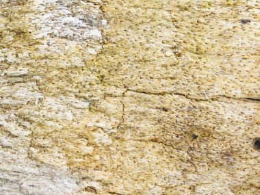 Arka plan için Bahçedeki Taş Doku 