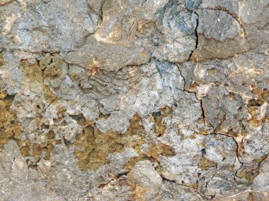 Bahçede taş dokusu, yakın görüş.