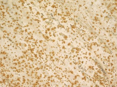 Arkaplan için taş dokusunun yakın plan görüntüsü