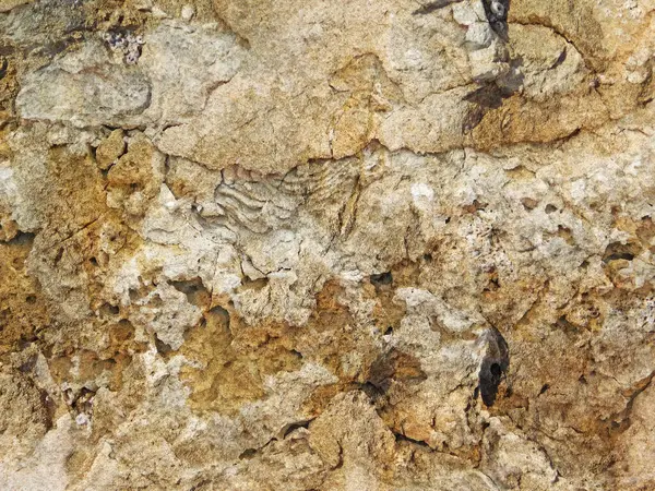 Bahçede açık havada Taş dokusu