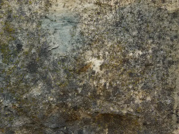 Bahçedeki mermer dokular