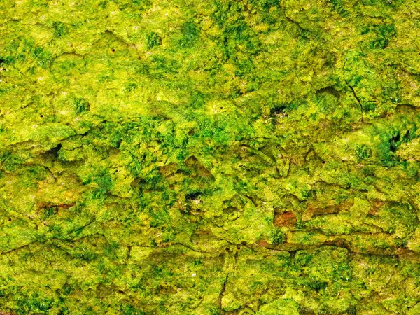 Green Stones dokusu, soyut arkaplan