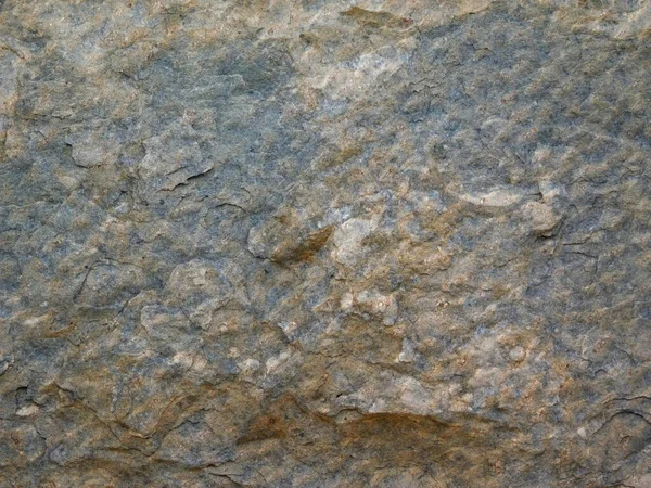 Bahçedeki mermer dokuyu kapat.