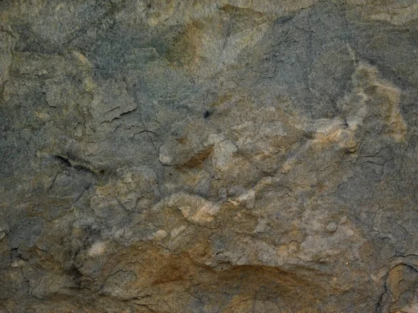 Bahçedeki mermer dokuyu kapat.